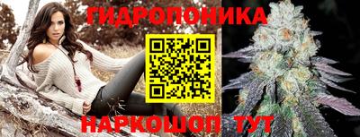 ПСИЛОЦИБИНОВЫЕ ГРИБЫ Абакан