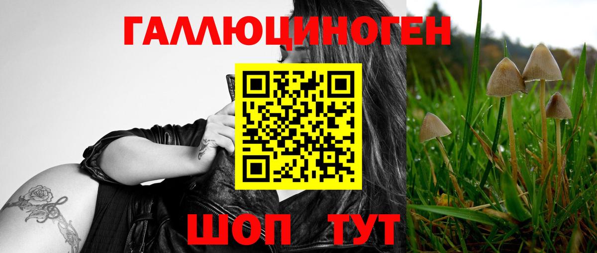 Псилоцибиновые грибы ЛСД Апшеронск