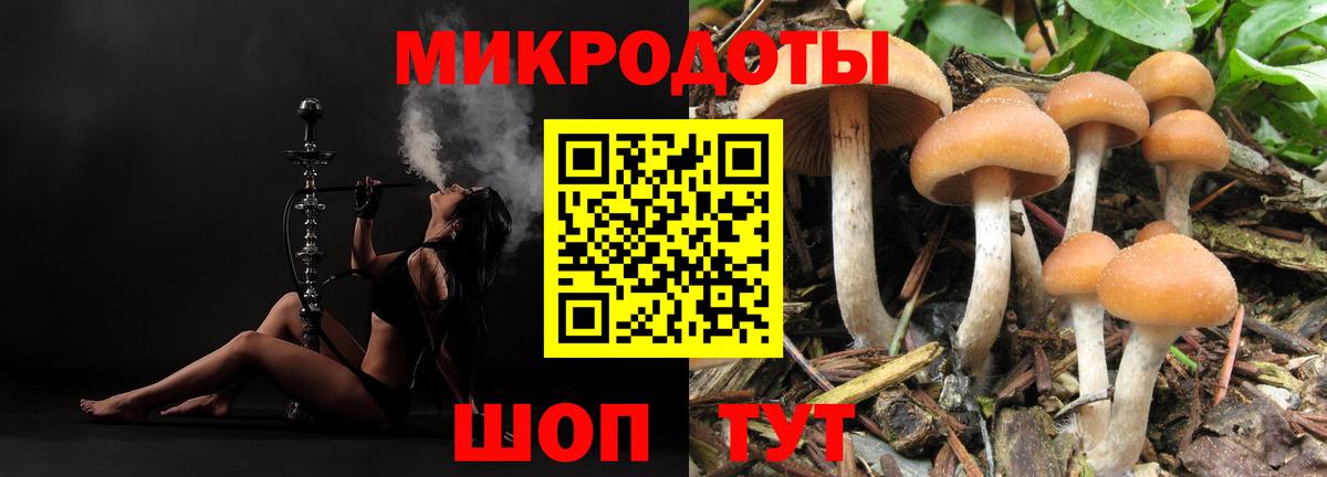 Апшеронск  Галлюциногенные грибы прущие грибы  Вход с VPN 