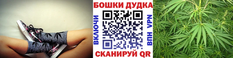 Бошки Шишки конопля  Апшеронск 